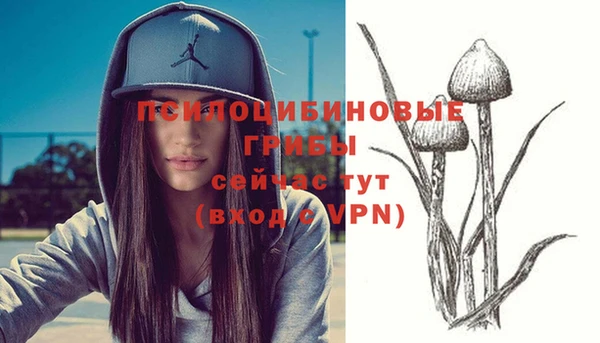 синтетический гашиш Абинск